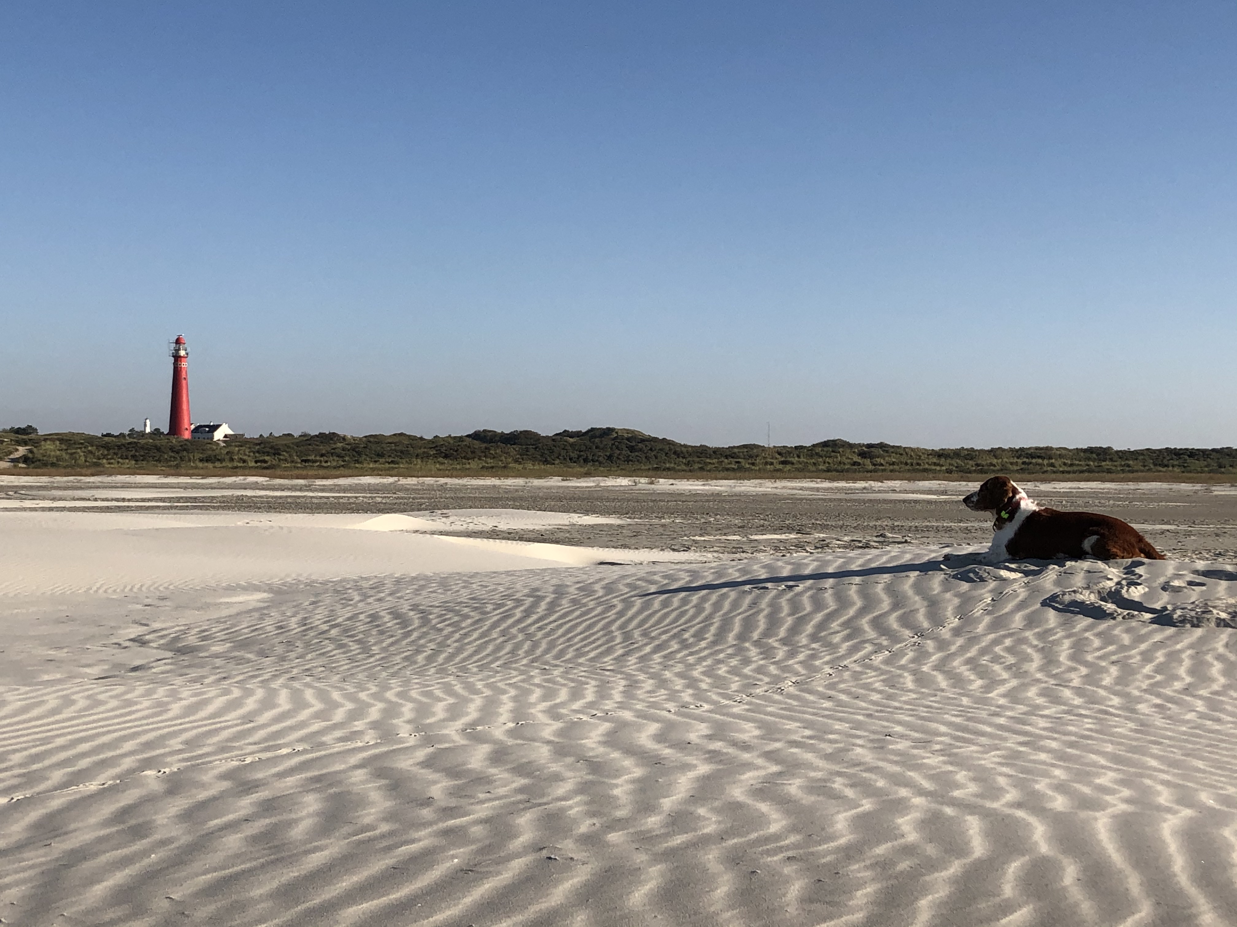 Ontspanningsweekend en midweek Terschelling Ontspanningsweekend en midweek Terschelling